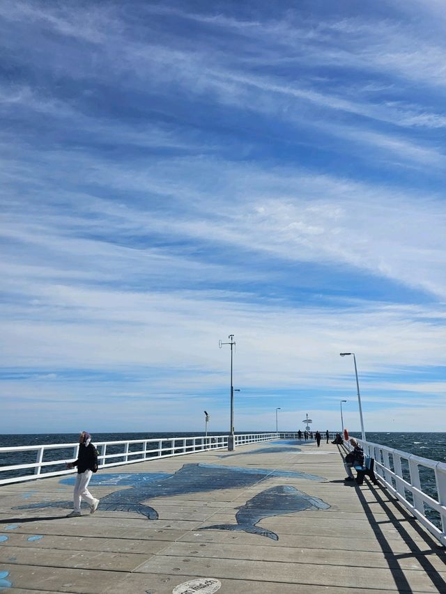 Busselton Jetty: Perth’s Epic Waterfront Adventure 🚂🌊