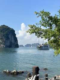🇻🇳Ha Long Bay: Where Nature Paints in Silence