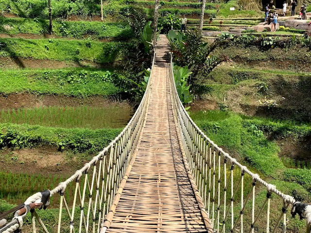 📍 뜨갈랄랑 계단식 논(Tegalalang Rice Terrace) 방문 후기