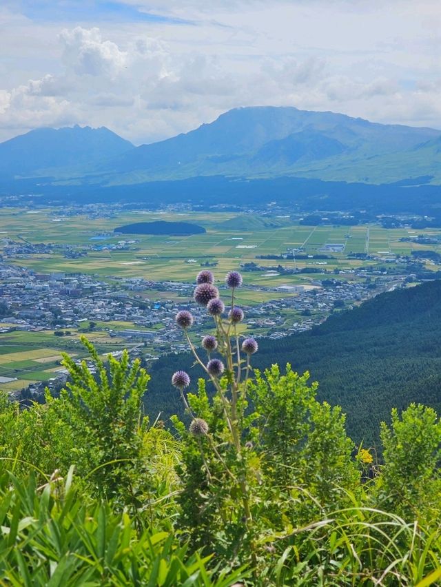 阿蘇五岳と大パノラマを一望できる人気展望台 阿蘇五岳と大パノラマを一望できる人気展望台