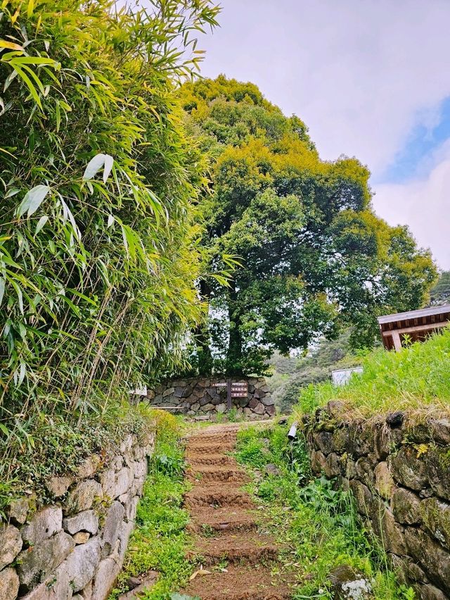🌄 한국 풍수지리의 시초라는 옥룡사지