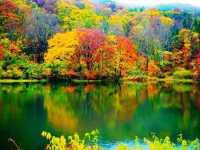🍁✨ Goshikinuma – The Five Colored Ponds, Urabandai, Fukushima ✨🌿