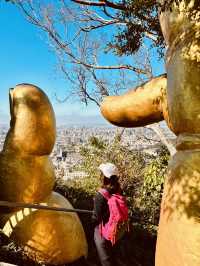 靜謐山林裡的大佛手——南觀音山步道小旅行