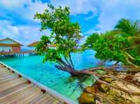 Bandos Maldives — Classic Island Charm Close to Malé