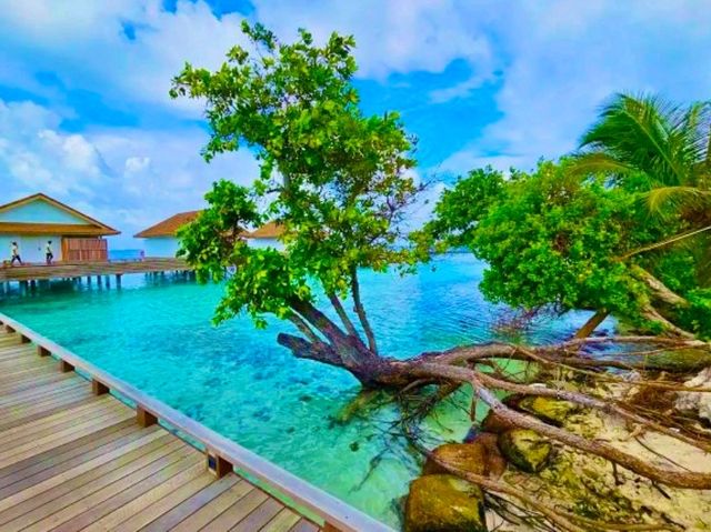 Bandos Maldives — Classic Island Charm Close to Malé Bandos Maldives — Classic Island Charm Close to Malé