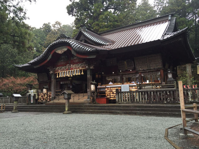 Fujiyoshida Forest Gem🌲