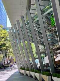 🍔 Urban Lunch & Architecture at Tokyo International Forum