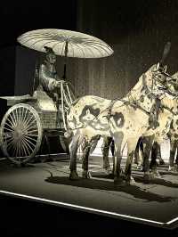 . WA Museum Boola Bardip
