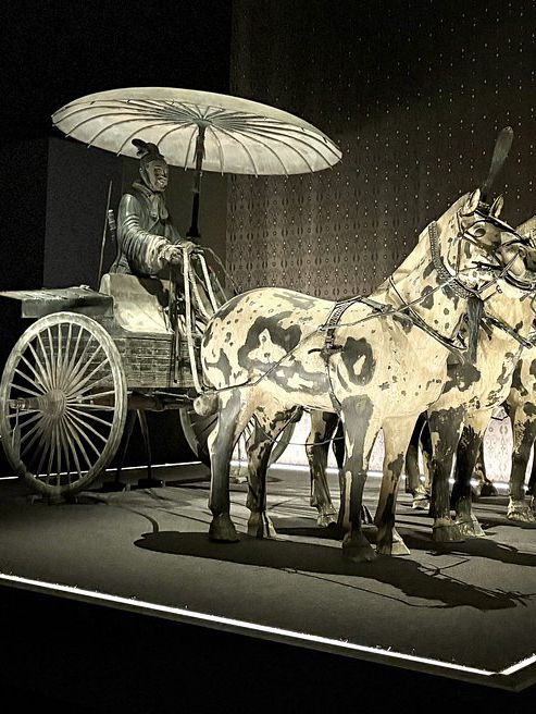 . WA Museum Boola Bardip