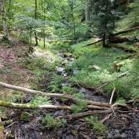 Cascade du Nideck – A Fairy-Tale Waterfall in the Vosges Mountains