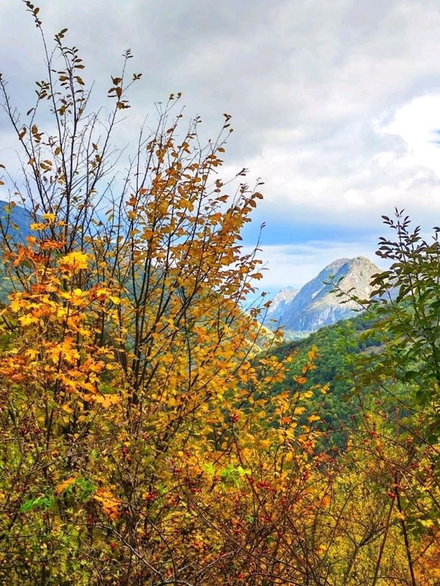Făgăraș Mountains