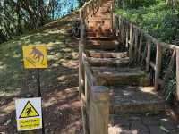 Chamarel Seven Coloured Earth Geopark - Mauritius 