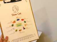 전주 만성동 브런치 양식 맛집, 고양이 감성 가득한 슬로우캣 