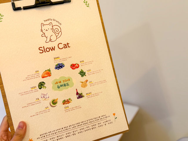 전주 만성동 브런치 양식 맛집, 고양이 감성 가득한 슬로우캣 