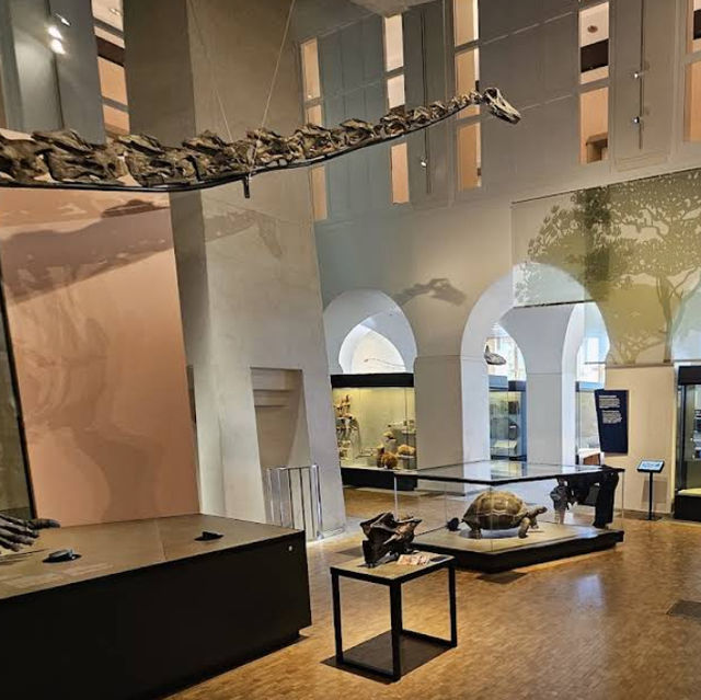 Natural History Museum of the University of Zurich: Where Science and Wonder Meet Natural History Museum of the University of Zurich: Where Science and Wonder Meet