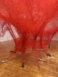 【オーストラリア・アデレード】芸術と感性が出会う場所「Art Gallery of South Australia」🎨