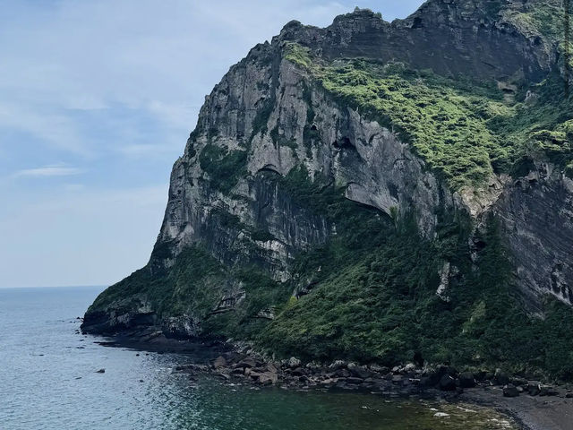성산일출봉 유채꽃과 감성 카페 코스 (한국어 작성)