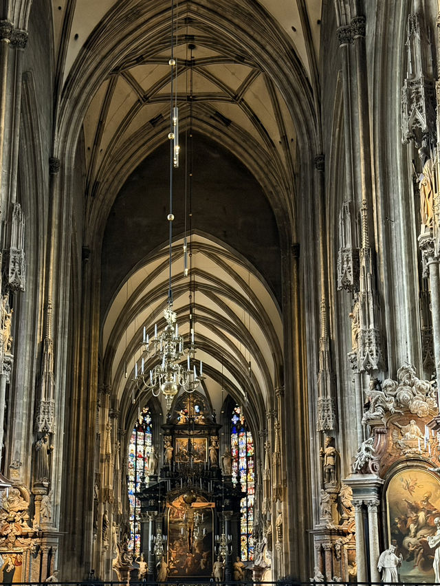 St. Stephen’s Cathedral: Vienna’s Gothic Gem Under Moody Skies 🌧️🏰