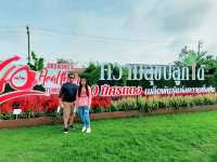 งานเมล็ดพันธุ์ บริษัทศรแดง