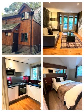 #hellohalloween
🌲 Lodge at Sherwood Forest – A Cozy Woodland Escape! 🏡

Unwind in the heart of nature at the Lodge at Sherwood Forest. Surrounded by ancient trees, it’s the perfect spot for peaceful stays, forest walks, and starry nights. 🍃✨

#travel #thingstodo #familytravel #couplestrip #staycation