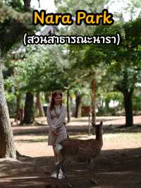 เลี้ยงกวางที่ 🦌 สวนสาธารณะนารา