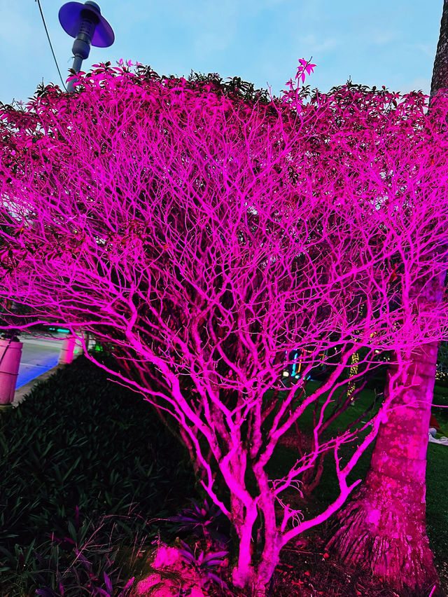 Evening Bliss at Secret Garden Putrajaya