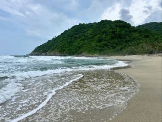 野性魅力的Playa Brava Tayrona