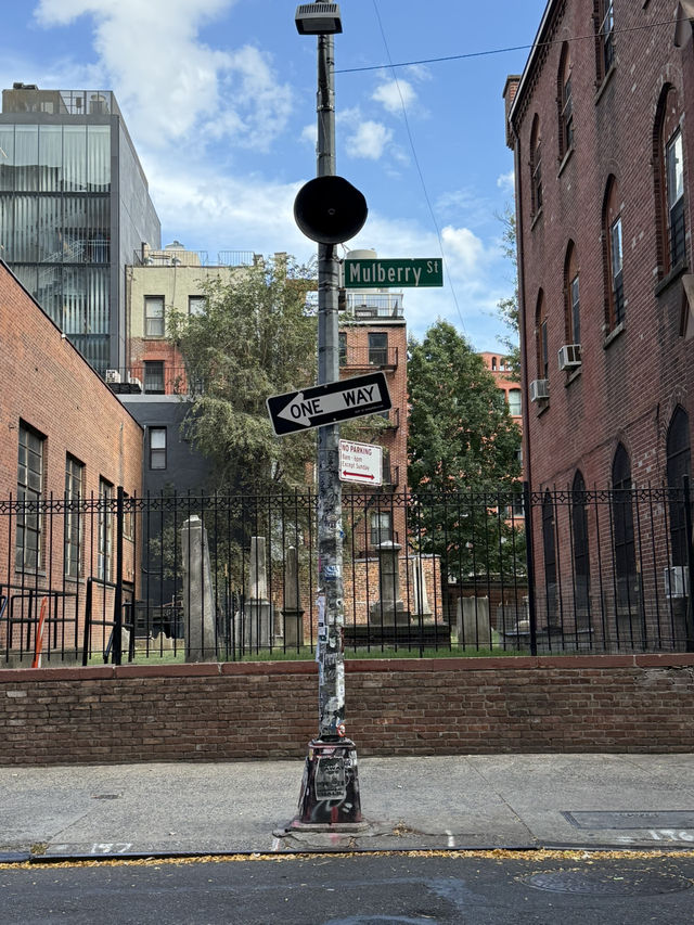 아기자기하고 특별한 뉴욕의 이곳!