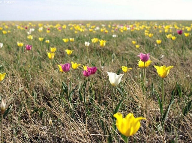 Ile-Alatau National Park - Made Kazakhstan worthwhile