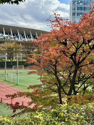 秋日國立競技場周邊的美景