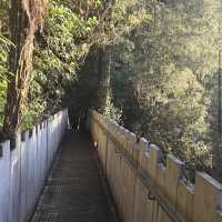Waitomo Glowworm Caves