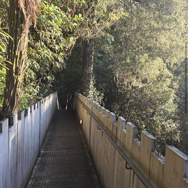 Waitomo Glowworm Caves