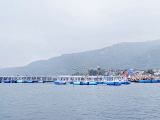 揚帆駛入大自然的戲劇：塔爾湖與火山探險之旅 🚤🌋🌧️

準備好來一場充滿神秘氣息的奇幻之旅了嗎？塔爾湖被火山群峰環抱，變幻莫測的雲霧繚繞，是熱愛大自然、渴望近距離探險的遊客的必訪之地。無論您是從塔利賽 (Talisay) 乘船出發，還是沿著聖尼古拉斯 (San Nicolas) 的湖岸漫步，每一處景色都美得像一幅畫——尤其是在陰雨天！

行程亮點：

首先，沿著塔蓋泰-塔利賽公路 (Tagaytay-Talisay Road) 前往塔爾湖觀景點 (3XWC+6W7)。在觀景點擺好姿勢，拍攝全景照片——火山上空翻滾的雨雲構成了一幅絕美的 Instagram 背景！然後，從塔利賽湖岸登上綠色小船。乘船遊覽是適合全家參與的刺激體驗：感受薄霧，尋找火山獨特的火山口島，欣賞鬱鬱蔥蔥的景色。捕捉「帶著孩子探索」的精彩時刻——孩子們睜大眼睛，遠處火山冒著煙，四周波光粼粼。

必做之事：

– 乘船靠近火山，欣賞最佳景色。

– 如果天氣允許，可以在湖邊村莊停靠，品嚐當地小吃。

– 拍攝變幻莫測的天空－雲彩為每一張照片增添了獨特的韻味！

遊覽小撇步：

– 帶上輕便雨衣；突如其來的陣雨是這裡的魅力所在，也能讓遊客保持適中。

– 穿上結實的鞋子－碼頭可能濕滑泥濘。

– 早點出發，捕捉清晨的迷人光線，避開午後雷暴。

注意事項：

– 下雨天需格外小心；檢查船員的安全裝備。

– 照顧好岸上和船上的兒童－水流可能很急。

#TaalLake #NatureEscape #FamilyAdventure #Philippines #RainyDayTravel