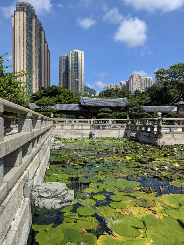 Chi Lin Nunnery Hong Kong