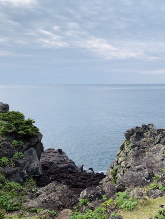 한반도 모양을 닮은 풍경 속을 걷다, 제주 둘레길 한반도 모양을 닮은 풍경 속을 걷다, 제주 둘레길