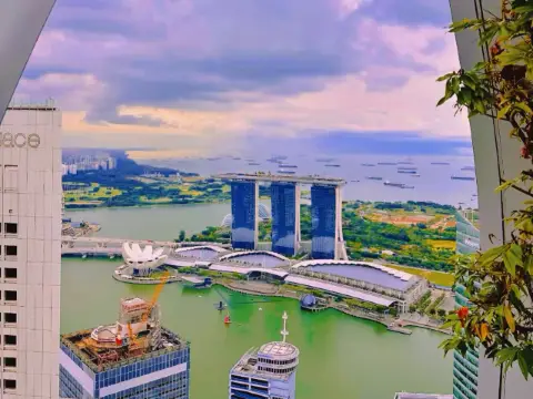 從高空俯瞰新加坡——燈光與夢想之城