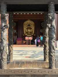 深圳仙湖弘法半日遊,自然療癒與禪意體驗