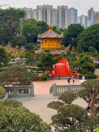 A Tang Dynasty Dream in Diamond Hill