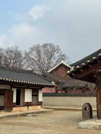 Sunlit Traditions🌳