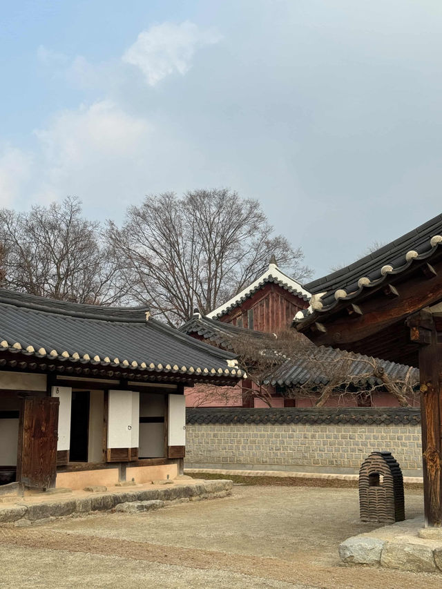 Sunlit Traditions🌳 Sunlit Traditions🌳