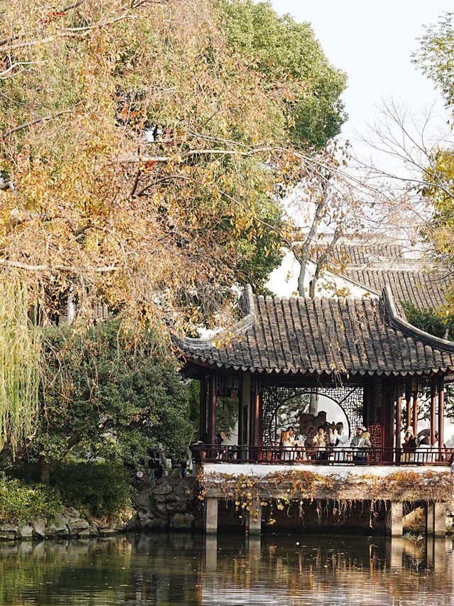 【拙政园】蘇州の秋を象徴するような🍁穏やかで美しい時間でした🍁 【拙政园】蘇州の秋を象徴するような🍁穏やかで美しい時間でした🍁