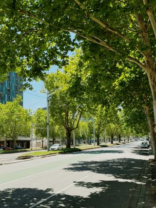 คู่มือภาพถ่ายริมถนนในเมืองเมลเบิร์น