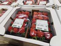 Aso Boy รถไฟท่องเที่ยวขวัญใจเด็ก ๆ 