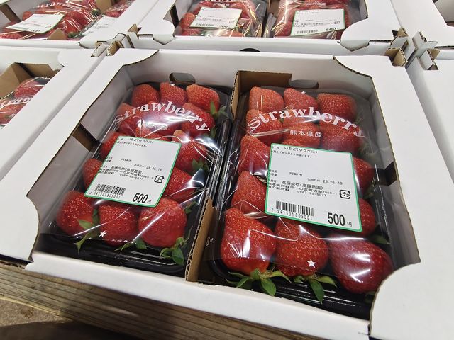 Aso Boy รถไฟท่องเที่ยวขวัญใจเด็ก ๆ 