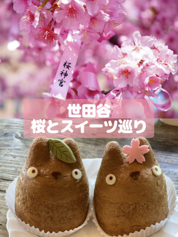 東京 世田谷】満開の河津桜と梅の園、スイーツ巡り | Trip.com 東京
