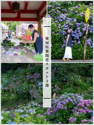 愛知県紫陽花スポット3選