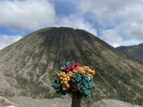 この絶景のために深夜2時起き！ブロモ山。 | Trip.com Tosari