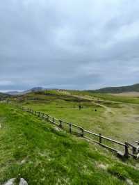 Discover Kyushu’s Best Natural Gem – Mount Aso & New Kusasenri
