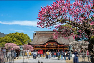 [Fukuoka/Dazaifu] Dazaifu Tenmangu Shrine is a must-visit when you come to Fukuoka!