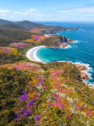Tasmania is unforgettable as Australia’s most naturally pure state, both in spring when wildflowers bloom and as an iconic landscape of nature. This time we take you through two must-see highlights - Cradle Mountain and Wine Glass Bay, which will heal your body and mind whether it's hiking in the mountains, a lakeside stroll or the blue water of the sea.

Itinerary:
It is recommended to take a 2-day and 1-night in-depth tour, hiking first to Cradle Mountain, then south to Freycinet National Park to see Wine Glass Bay.

[Cradle Mountain Cradle Mountain]
Address: Cradle Mountain, Tasmania 7306
Opening hours: Open all day, year-round

Reason for recommendation: Cradle Mountain is one of Tasmania’s most famous national parks, with many popular hiking trails. In the southern hemisphere spring, the foothills of the mountains are full of wildflowers, in the distance are the background snow peaks, stepping on the grass is like being in a landscape painting. The most popular is to walk to Dove Lake, the ice lake, you can choose a relaxed loop around the lake, which takes about 2-3 hours to complete, and if you want to bring a bit of a challenge, you can consider the entire 6-day Overland Track. Along the way you may encounter wombats, kangaroos, and duckbills!

Must-play items & photo spots:
· Dove Lake Glacier Lake Trail: The lake is quiet and beautiful.
· Boat Shed: Cradle Hill classic chalet photo spot.
· View of the mountain spring scenery from a high place.

Playing Tips:
1. The weather is changeable, spring is still a little cool, remember to bring a windproof and rainproof jacket, sneakers.
2. Less crowded in the morning, suitable for photography and quiet feeling of nature.
3. Be sure to check your National Park Admission Pass, or transportation shuttle bus times in advance.

[Wineglass Bay]
Address: Wineglass Bay, Tasmania
Opening hours: Open all day, year-round

Reason for recommendation: Wineglass Bay is known for its perfect curves, fine white sandy beaches, and deep blue waters. The most special experience is climbing to the top of the Wineglass Bay Lookout, where you can see the shape of a wine glass from a top-down perspective and the scenery is extremely impactful. Walking to Lookout takes about 1 hour, easy and easy; challenging physical strength can walk down the mountain to the beach, bury yourself feel the sea and sky.

Must-play items & photo spots:
· Wineglass Bay Lookout: Best high-altitude photo spot.
· Beach stroll: step on the sand barefoot, wash your feet and enjoy the scenery.
· There are several trails around the Freycinet Peninsula, which are superb for photos with the sunset color temperature.

Playing Tips:
1. Must bring water and sunscreen, spring UV rays are not less.
2. It is recommended to arrive early to avoid the midday rush hour and crowds.
3. Watch out for wildlife (such as wallabies, seagulls) and remember not to feed.

summary:  
Spring in Tasmania is really surprising every step of the way, perfect for those of you who love nature to explore in depth, whether hiking or taking pictures is very satisfying. To plan a mind-washing trip, Cradle Mountain and Wine Glass Bay must be added to the bucket list!

#Tasmania #CradleMountain #Wineglass Bay #Hiking Guide #Australia Nature Tour